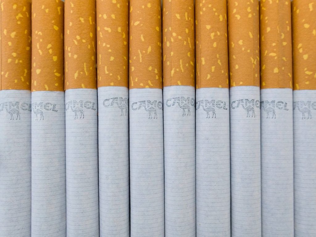 A detailed close-up view of several cigarettes lined up side by side.